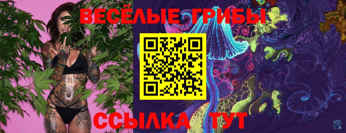 Псилоцибиновые грибы прущие грибы Рубцовск